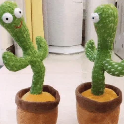 Dancing Cactus - Image 2